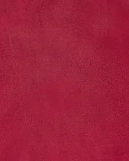 Dining Chair FLOBY II Velvet Red_886117