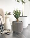 Plant Pot DARIA 30 cm Taupe