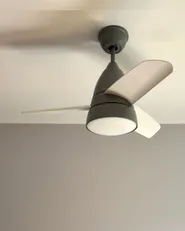 Ceiling Fan with Light STRAWBERRY with Remote LED Grey_1172635