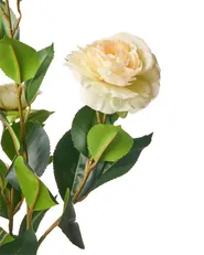 Konstgjord växt CAMELLIA 60 cm Grön_1028610