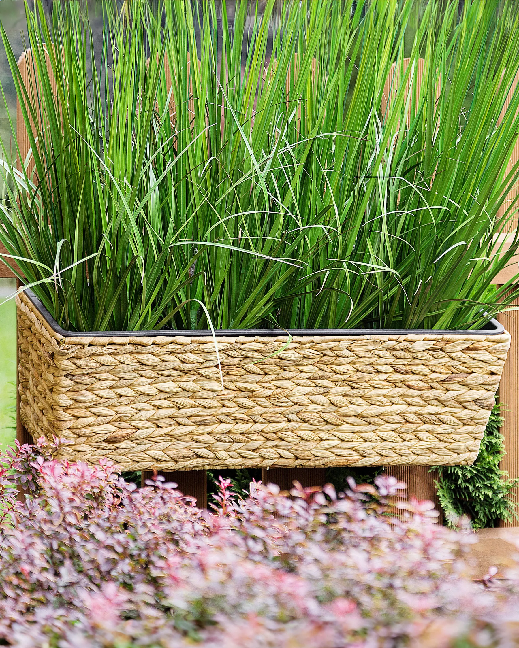 Blomkruka KAWALA 60 cm Vattenhyacint Sandbeige_771314