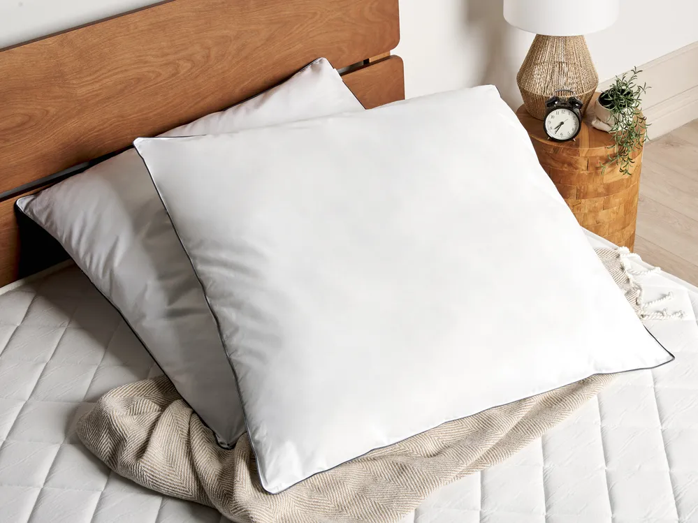 Set of 2 Bed Pillows PELISTER High 80 x 80 cm Microfibre White