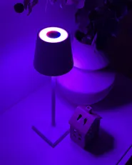 Wireless LED Table Lamp VALIRA with Dimmer Metal White_983754