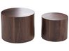 Set of 2 Coffee Tables MANTI Dark Brown