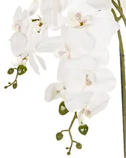Tekokasvi ORCHID 59 cm Valkoinen_947269