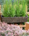 Plant Pot KAWALA 80 cm Brown