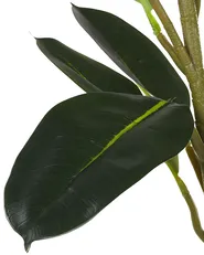 Artificial Plant FICUS ELASTICA 134 cm Green_784644
