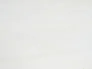 Dining Table MURTLE White 110 cm 110 cm Mango Wood_1047518