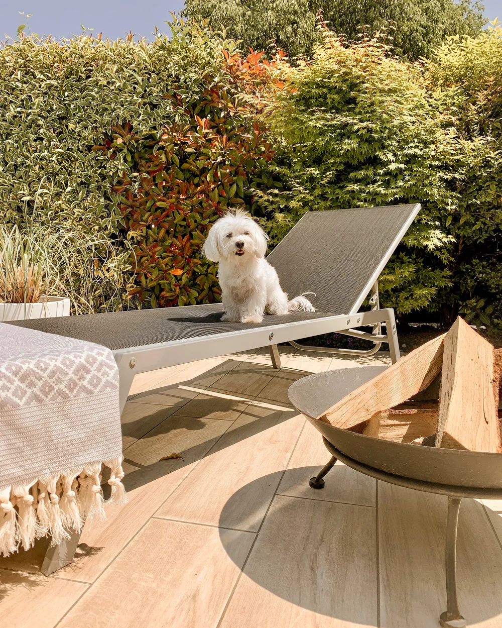 Sun Lounger NOLI Reclining Metal Grey_888135