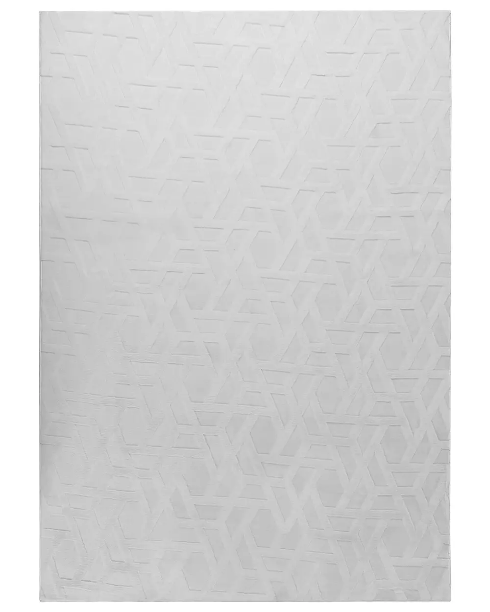 Rug ANTERO Light Grey 160 x 230 cm