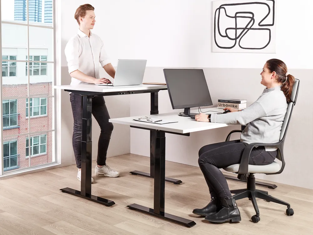 Electric Adjustable Standing Desk DESTINES 120 cm 72 cm White/ Black