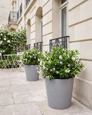 Set of 2 Plant Pots ARMERIA 50 cm Grey_1133064
