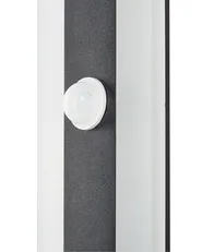 Outdoor LED Wall Light SAVANE with Motion Sensor Black_866483