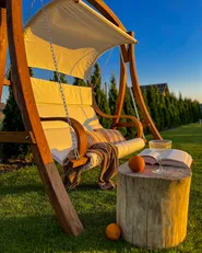 Patio Swing APRILIA Larch Wood Brown_877904
