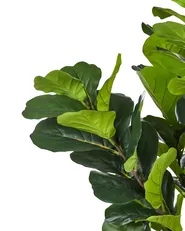 Artificial Plant FIG TREE 162 cm Green_917213