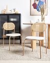 Set of 2 Dining Chairs ADAVER Metal Light Brown