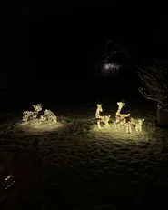 Ulkokoriste LED-valo ANGELI 92/85/49 cm Poro Valkoinen_895621