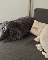 Faux Fur Rug MUNGO Grey 63 x 95 cm_917850