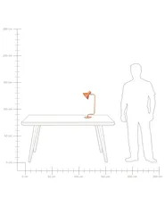 Skrivbordslampa RIMAVA Justerbar Metall Orange_858965