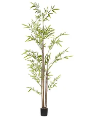 Konstgjord växt BAMBUSA VULGARIS 160 cm Grön_774412