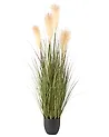Tekokasvi CORTADERIA GRASS 120 cm Vihreä