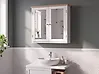 Bathroom Wall Mounted Mirror Cabinet ALAMOS 65 cm x 60 cm White