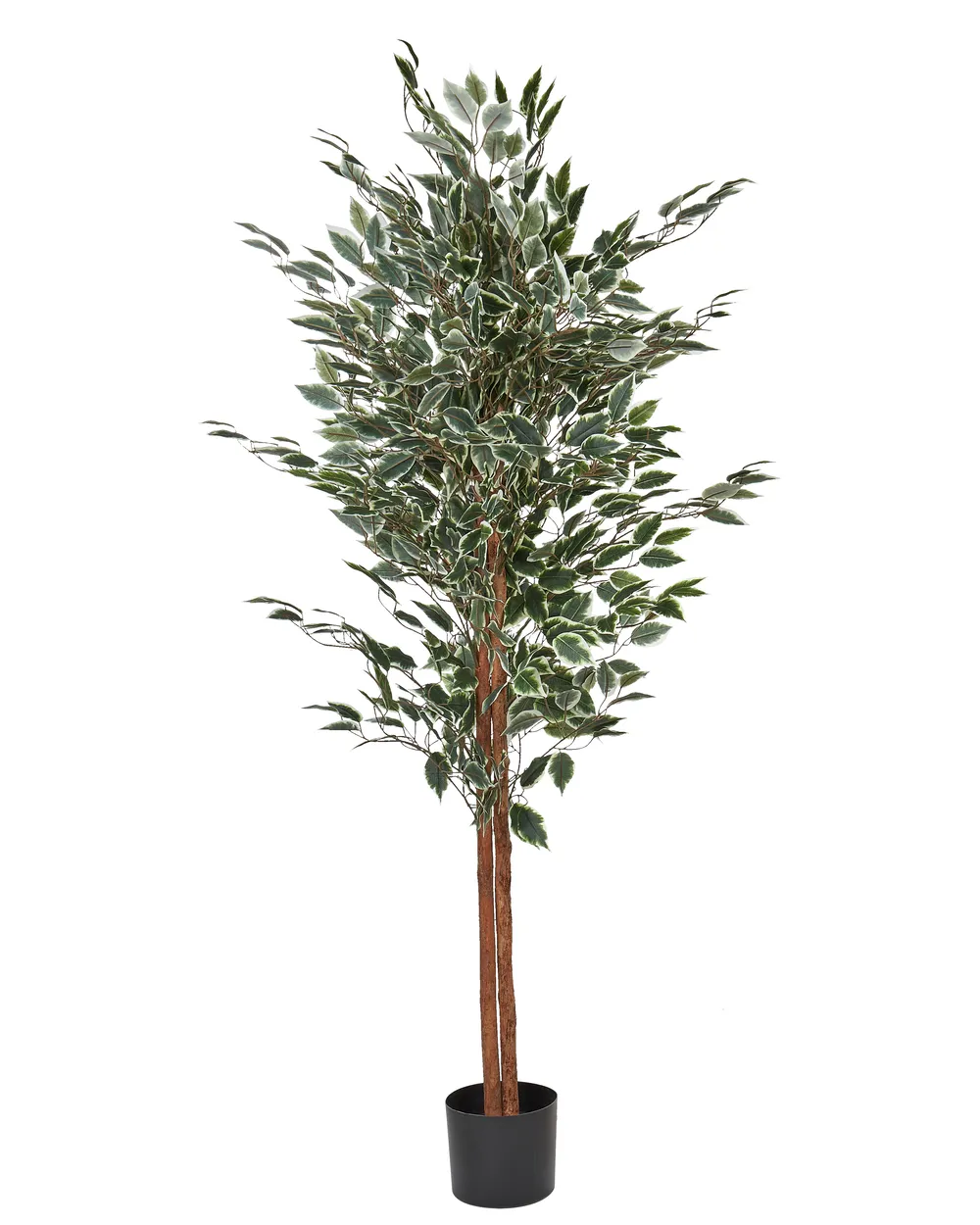 Artificial Plant FICUS 167 cm Green