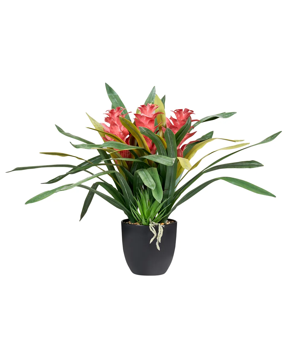Artificial Plant GUZMANIA ATILLA 50 cm Green