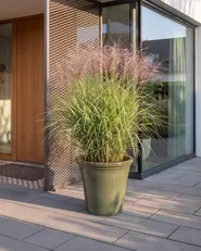 Plant Pot OLIVA 47 cm Green_1087537