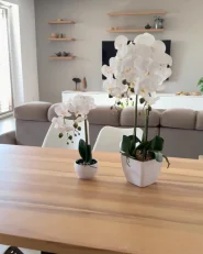 Tekokasvi ORCHID 59 cm Valkoinen_994319
