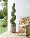 Tekokasvi BUXUS SPIRAL TREE 158 cm Vihreä