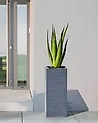Plant Pot DION 26 cm Dark Grey
