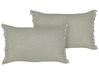 Set of 2 Decorative Cushions SASSAFRAS 30 x 45 cm Linen Light Grey Solid