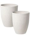 Set of 2 Plant Pots White Various Sizes CROTON