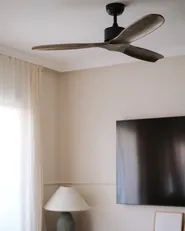 Ceiling Fan ARANI with Remote Brown_1014217