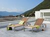 Sun Lounger NARDO Reclining Metal Brown