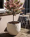 Blomkruka ARPONE 44 cm Ljusbeige