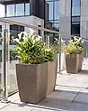 Kukkaruukkusetti 2 kpl SILENEV 59 cm Ruskea