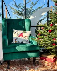 Armchair ALTA Velvet Dark Green_1033788