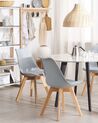 Set of 2 Dining Chairs DAKOTA II Grey