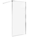 Shower Screen WASPAM 1000 x 1900 mm Silver