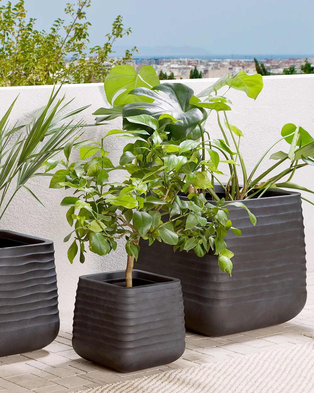Plant Pot PARIKIA 50 cm Black