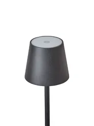 Wireless LED Floor Lamp GAVARRESA with Dimmer Metal Black_940557